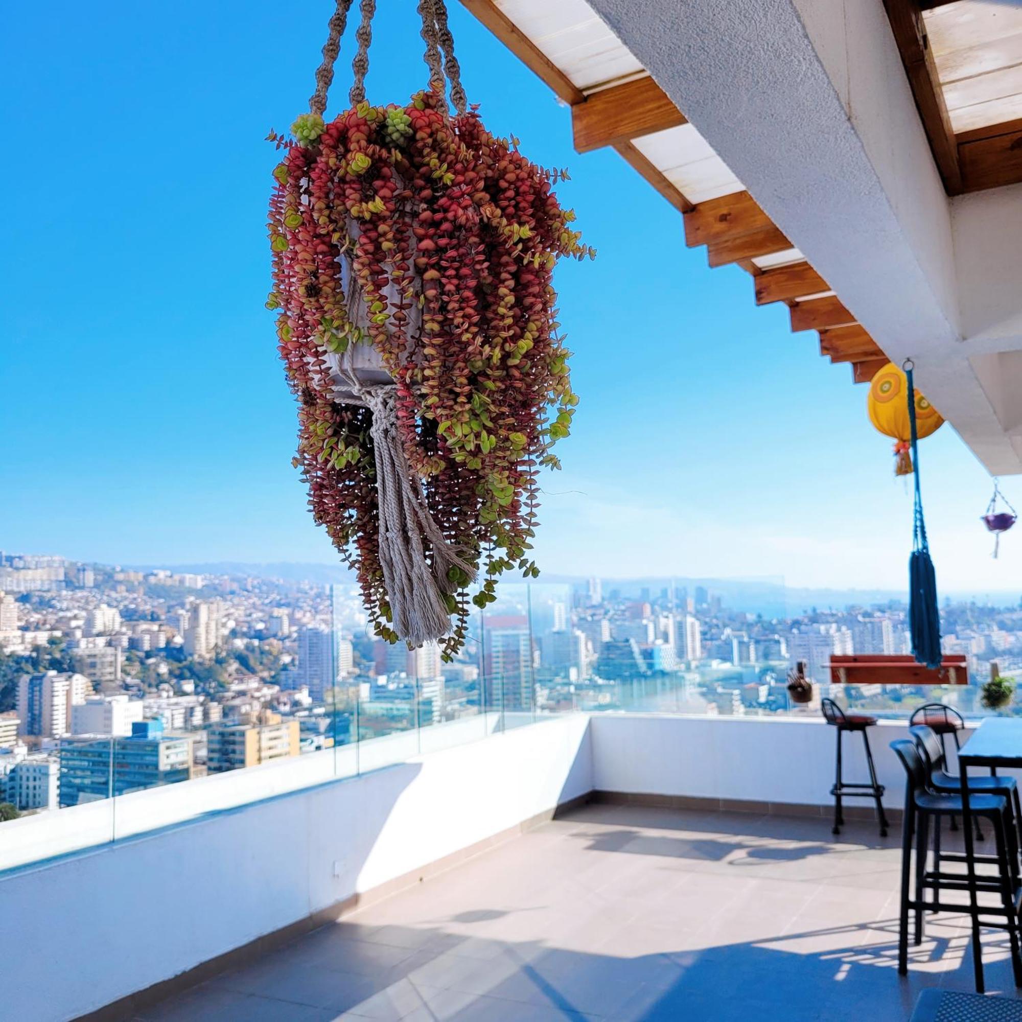 Apartamento Terraza Vip 1 *